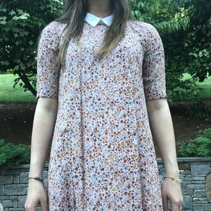 floral collared mini dress!